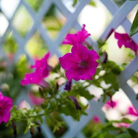 阿斯特酒店 摩德纳